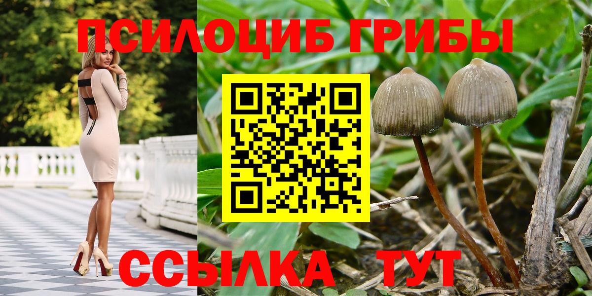 Димитровград  Псилоцибиновые грибы ЛСД  Псилоцибиновые грибы прущие грибы  Вход с VPN 